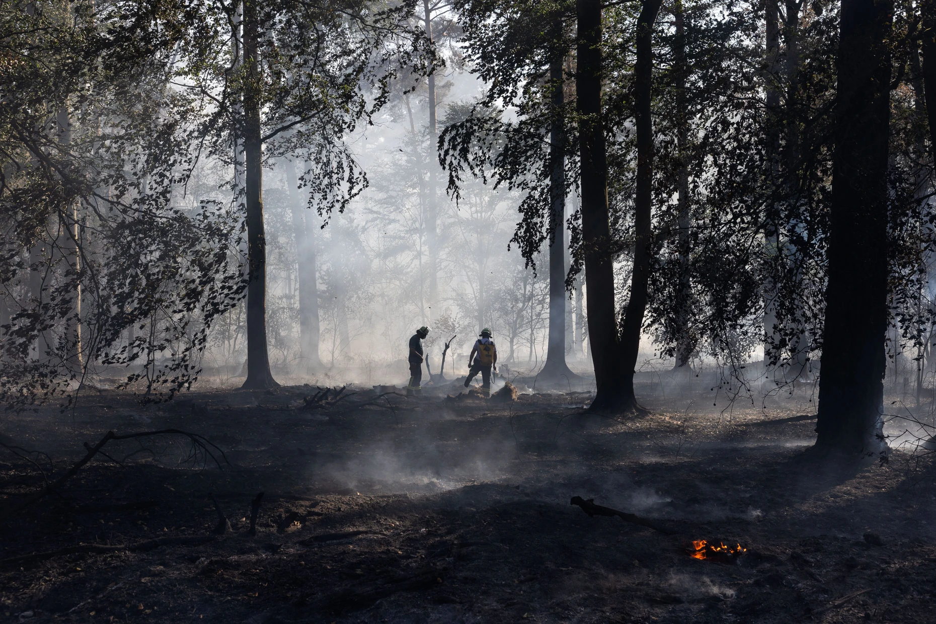 Gut aufgestellt: Die Feuerwehr hat auch den Waldbrand zwischen Ober- und Niederrodenbach in den Griff bekommen.