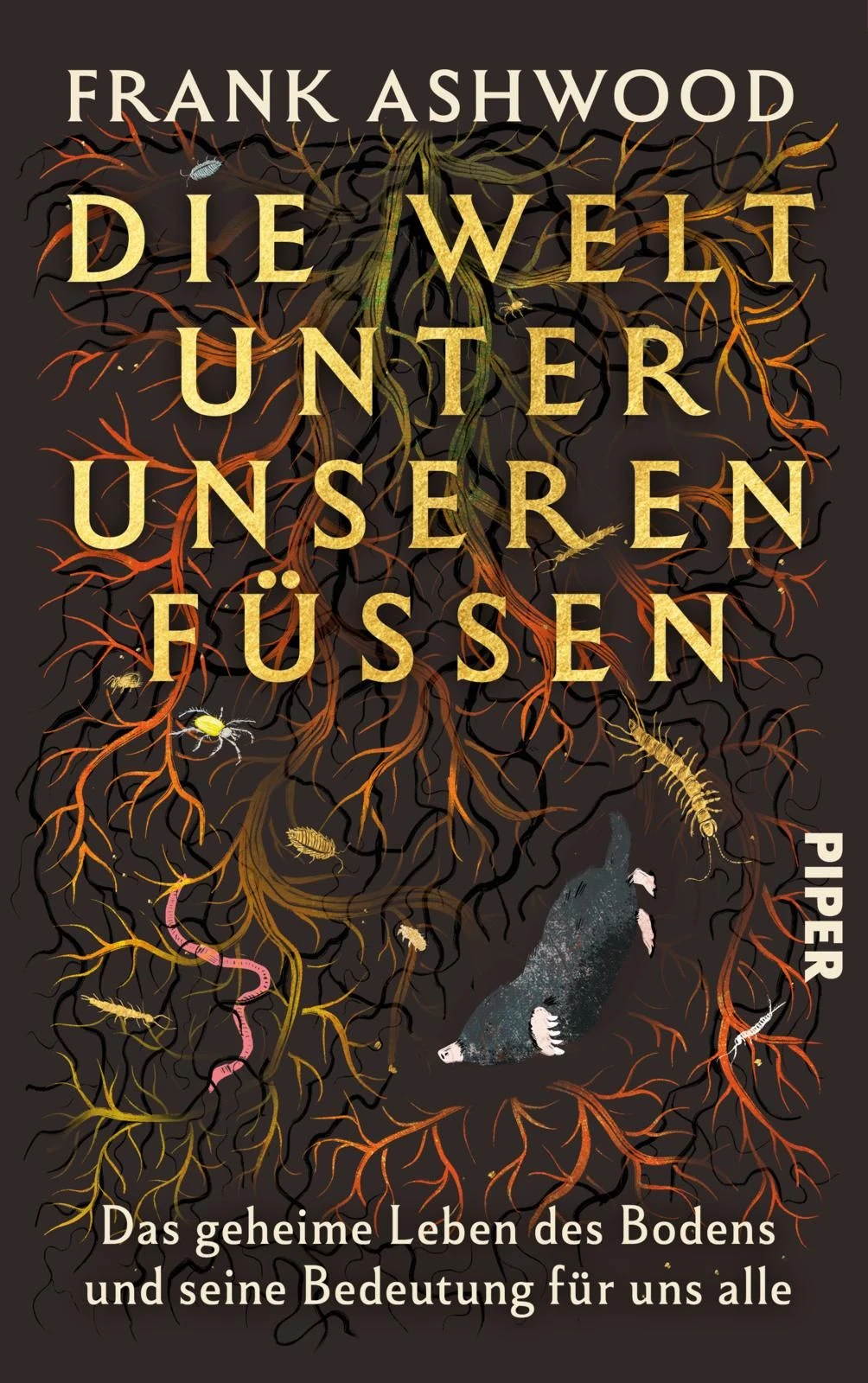 Frank Ashwood: „Die Welt unter unseren Füßen“