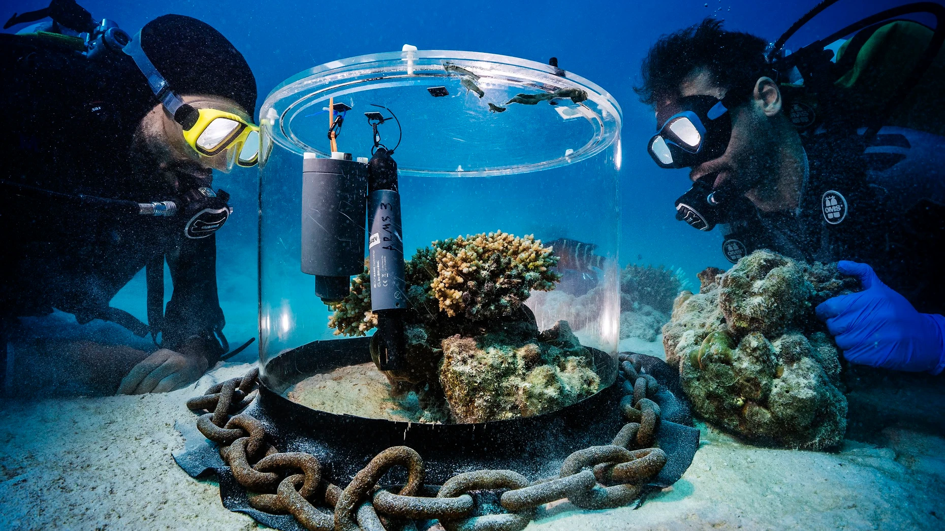 Imagen ganadora del concurso de fotografía Nature's Scientist at Work 2026. Para ser utilizado según los términos del comunicado de prensa. CRÉDITO OBLIGATORIO: Uli Kunz
