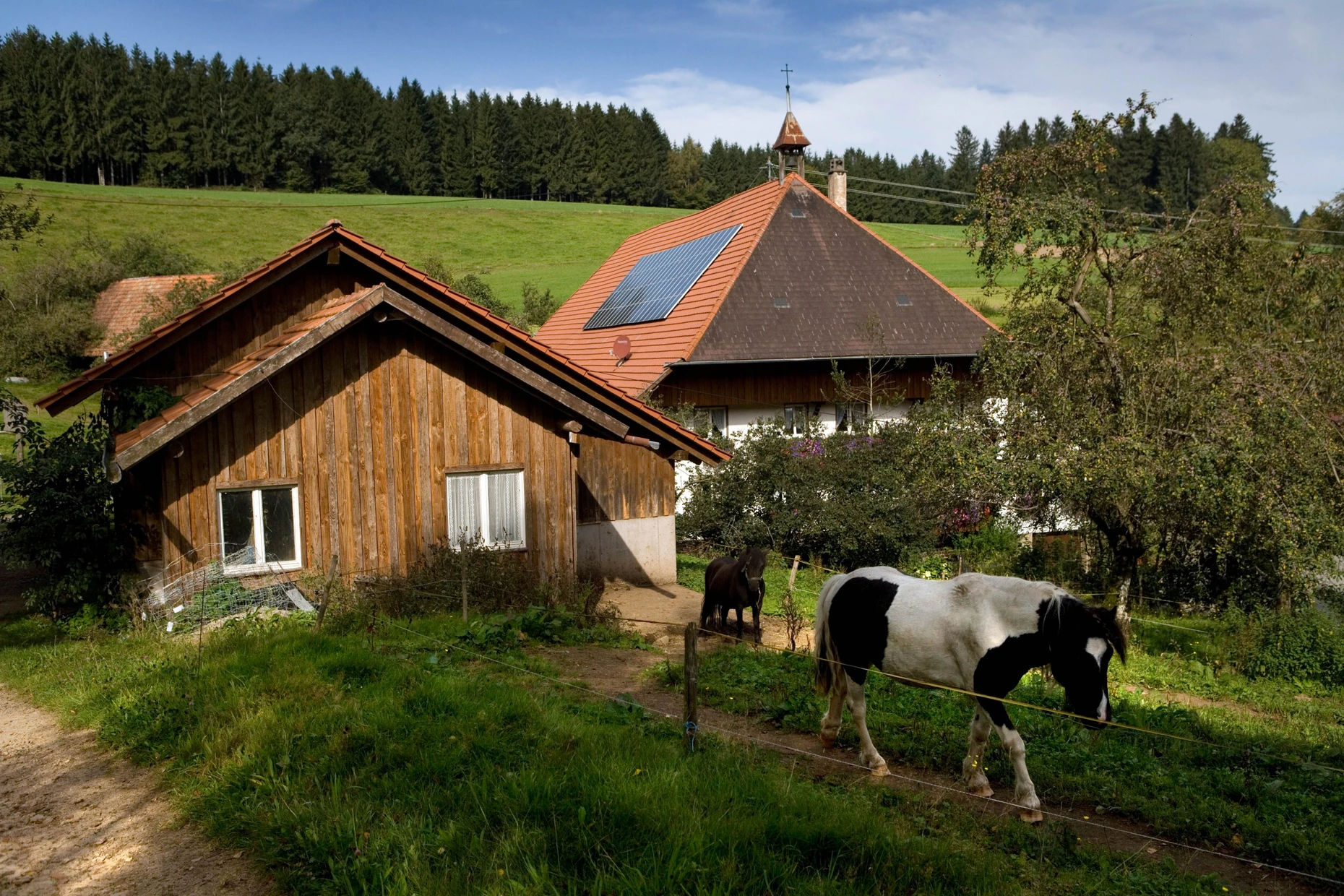 Der Kontrast zur Fernreise wirkt oft unspektakulär. Ein Hof, ein Pony, viel Ruhe. Das muss nicht schlecht sein.