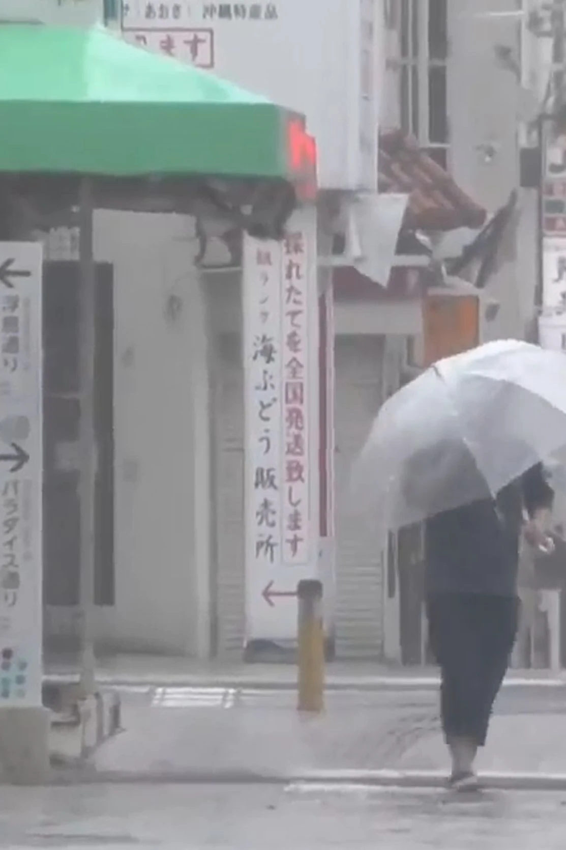 NTV-NNN via AP