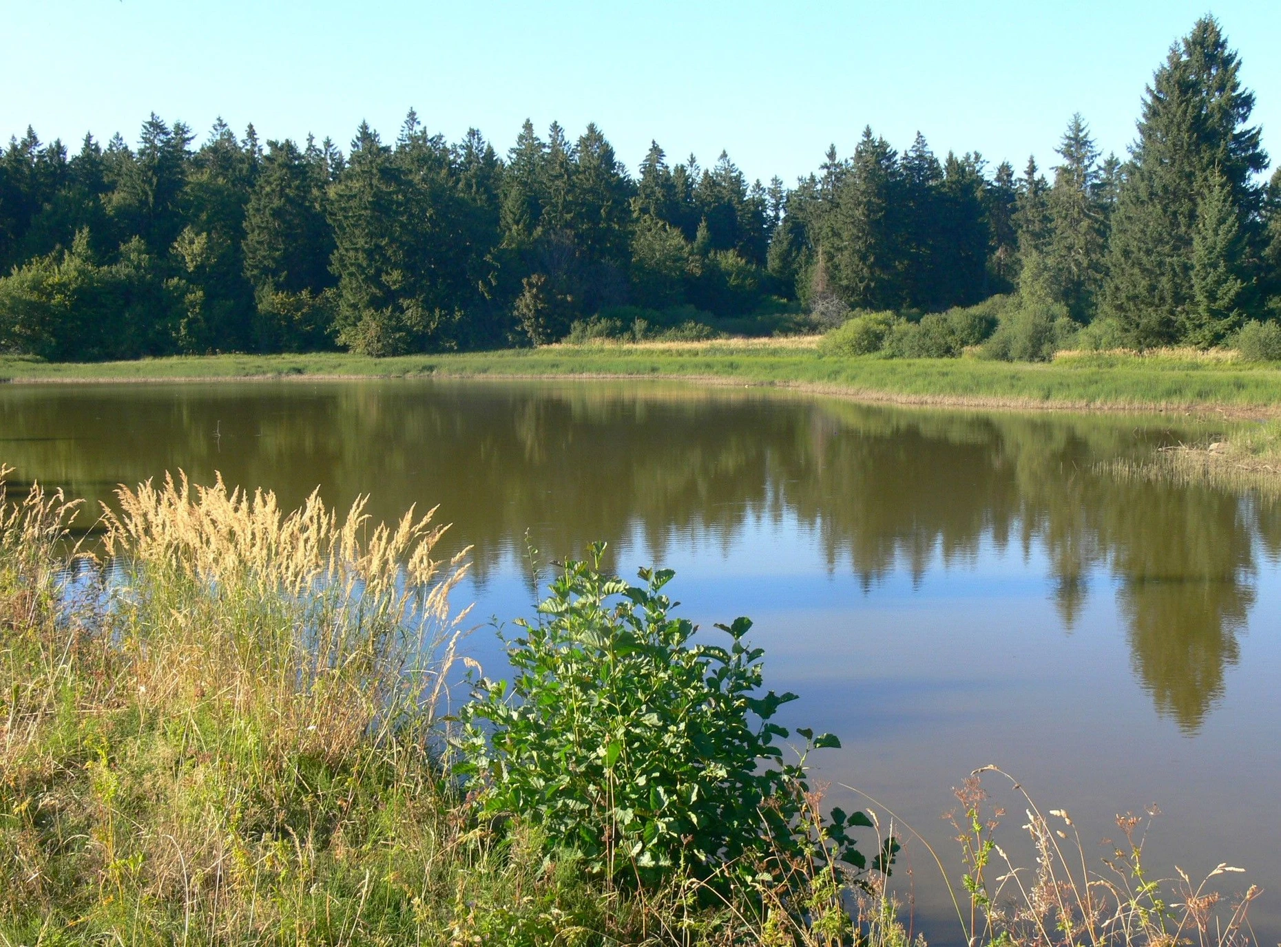Im Naturschutzgebiet „Oberes Niddatal“ entspringt die Nidda. Schon im Mittelalter wurde sie zur Fischzucht aufgestaut. Heute sind die „Forellenteiche“ geschützte Biotope