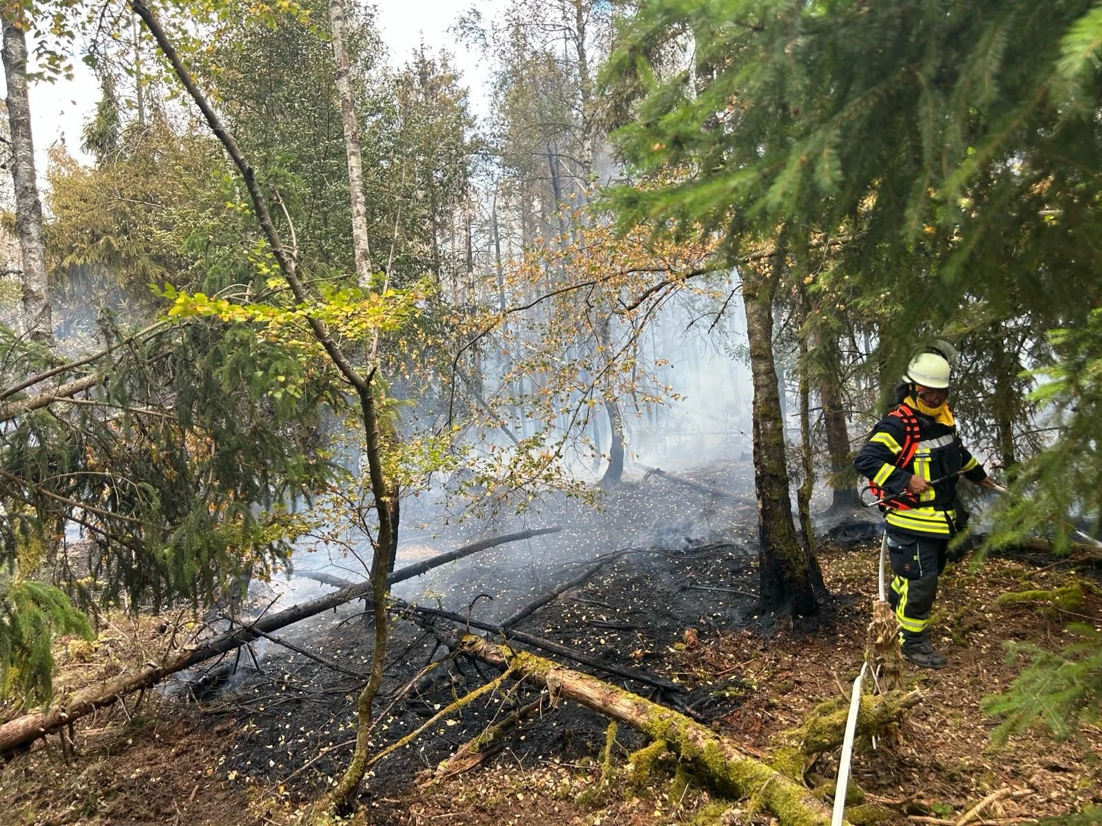 Feuerwehrmann am Rand des Waldbrandes.
