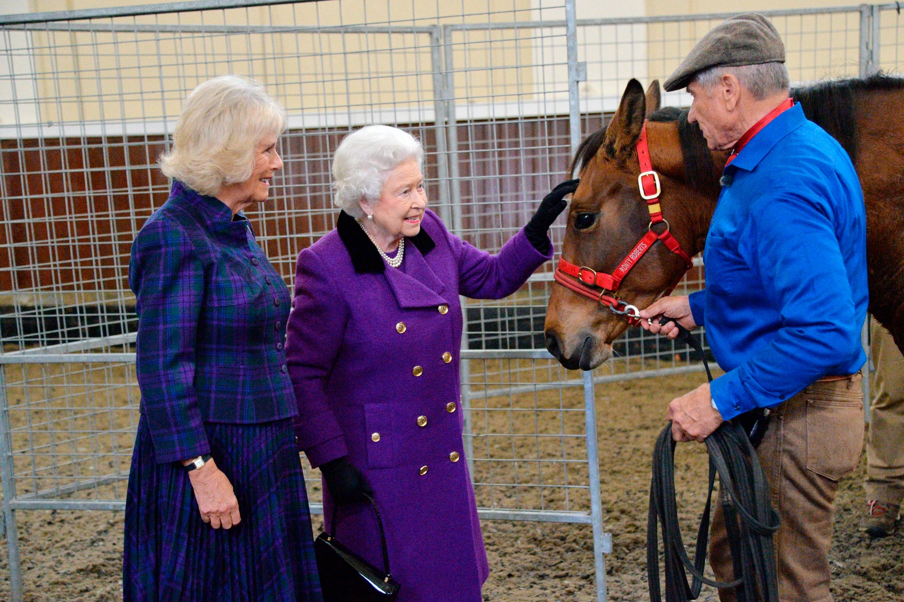 Pferdeflüsterer unter sich: Camilla (links), noch Herzogin von Cornwall, trifft im Jahr 2015 mit Königin Elisabeth II. den Amerikaner Monty Roberts in den Reitställen des Buckingham-Palasts.
