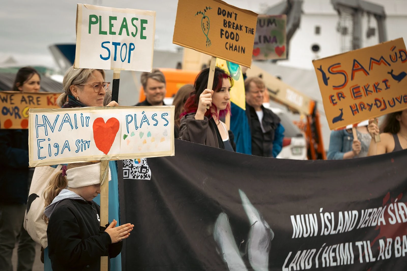 Kleine Demonstration gegen Walfang in Reykjavík