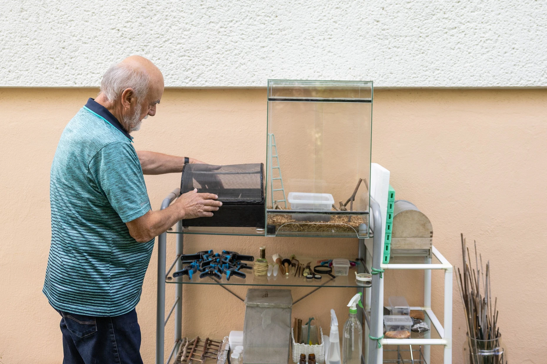 Alfred Westenberger mit seiner Anzuchtstation. Seit rund 40 Jahren züchtet er Schmetterlinge in seinem Garten.