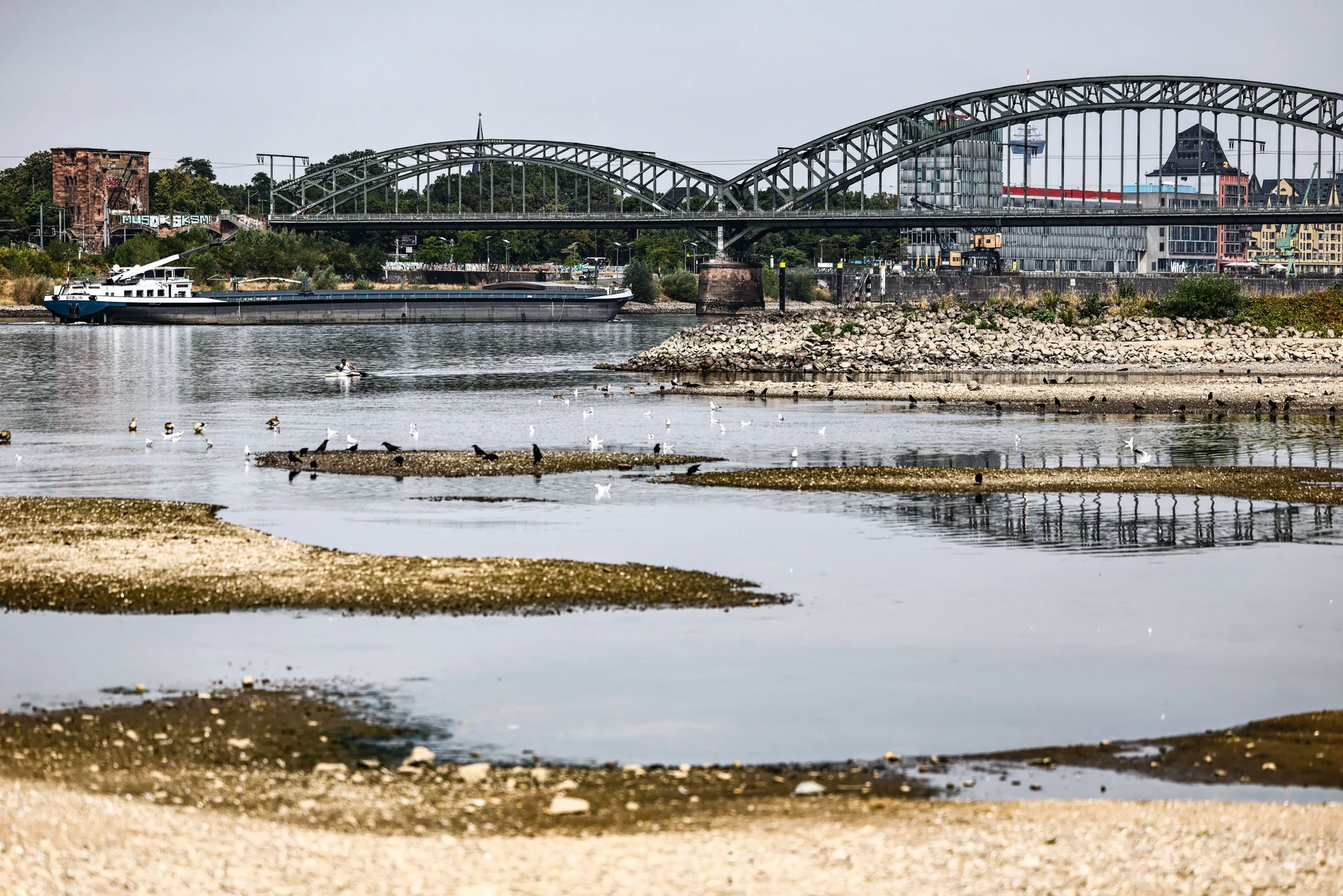 Der Rhein bei Köln bei niedrigem Pegelstand