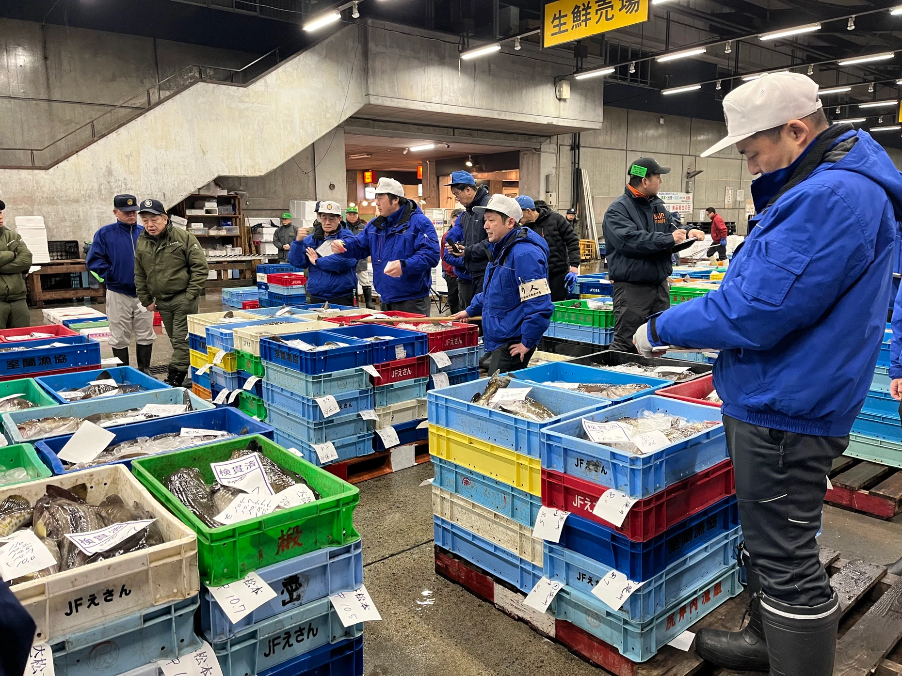 Auf dem Fisch-Großmarkt wird die Ware in Auktionen an Zwischenhändler versteigert, die sie dann Gastronomen verkaufen.