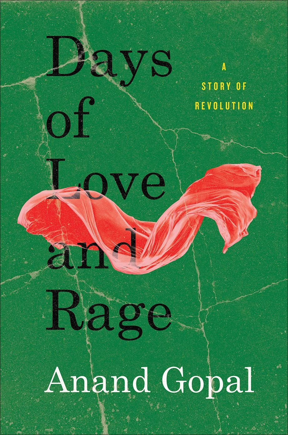 Anand Gopal: „Days of Love and Rage“