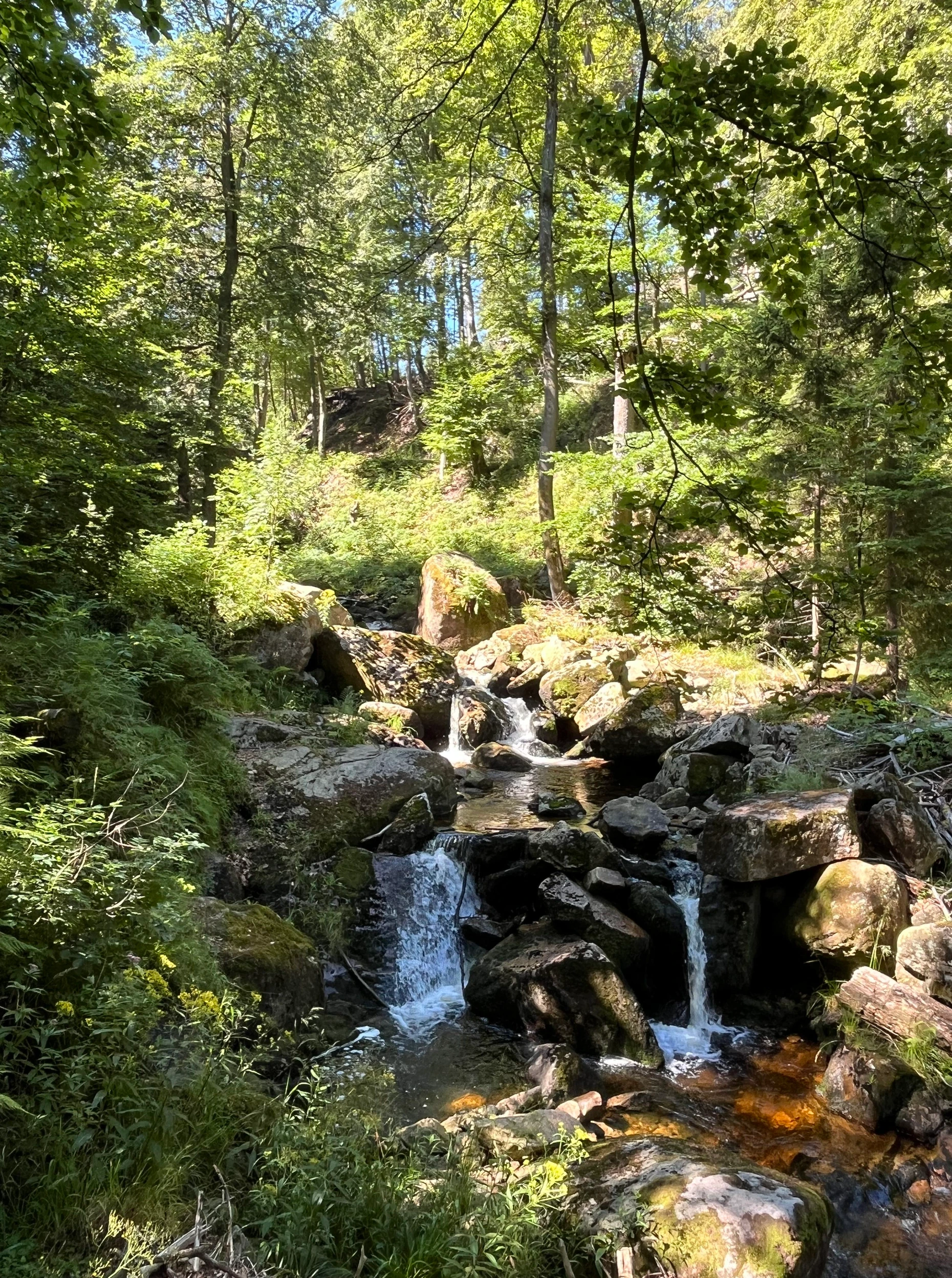 Auch das sieht man bei einer Brocken-Wanderung: das Idyll plätschernder Bäche.