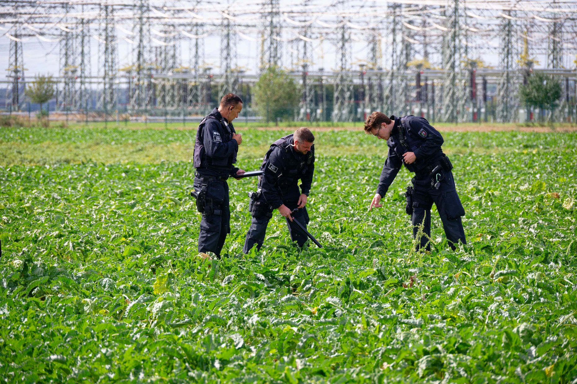 Polizisten suchen in der Umgebung des Umspannwerkes in Bergheim nach Hinweisen auf die Täter.