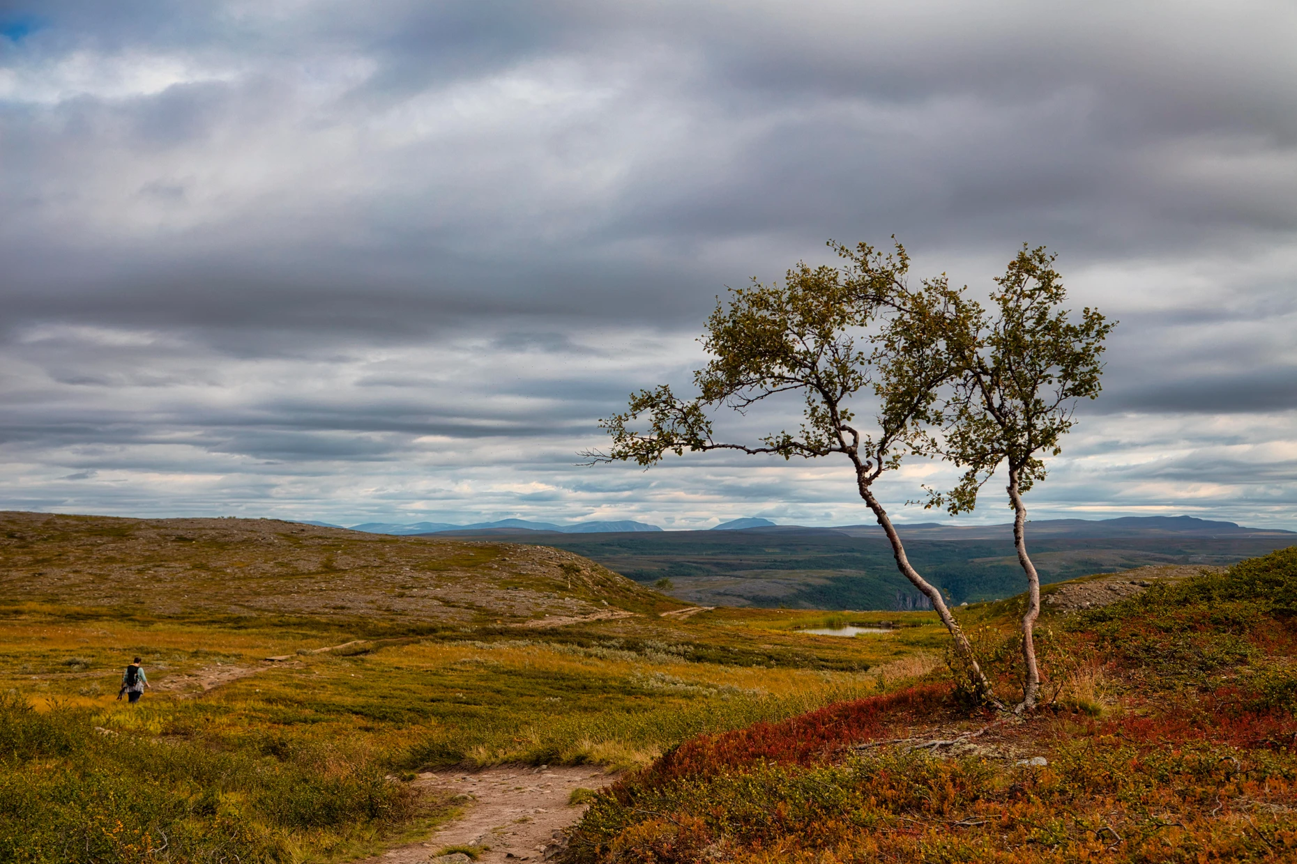 Wanderweg zur Alta-Schlucht in der Finnmark