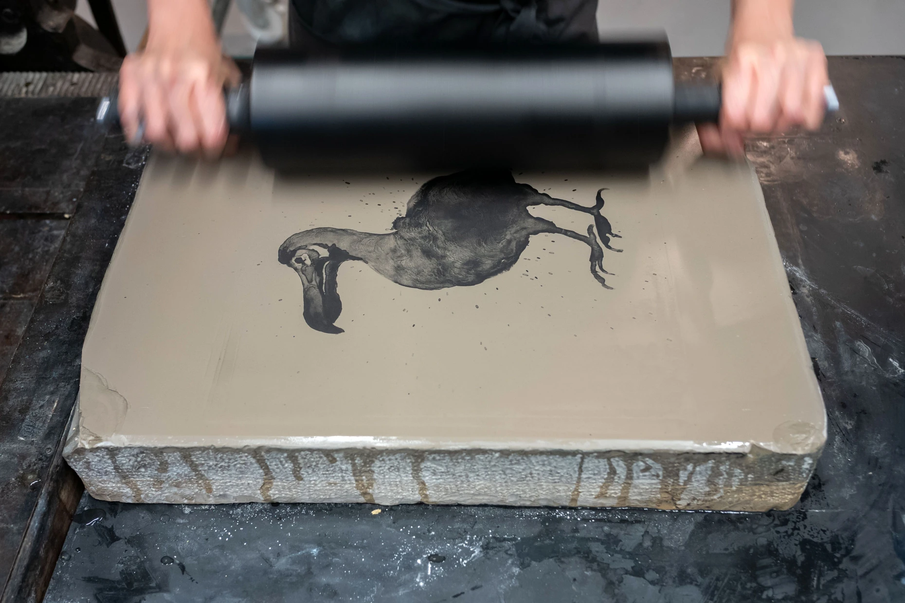 Für ihre Tusche-Lithographie: Kiki Loo walzt schwarze Farbe über ihren Dodo-Vogel.