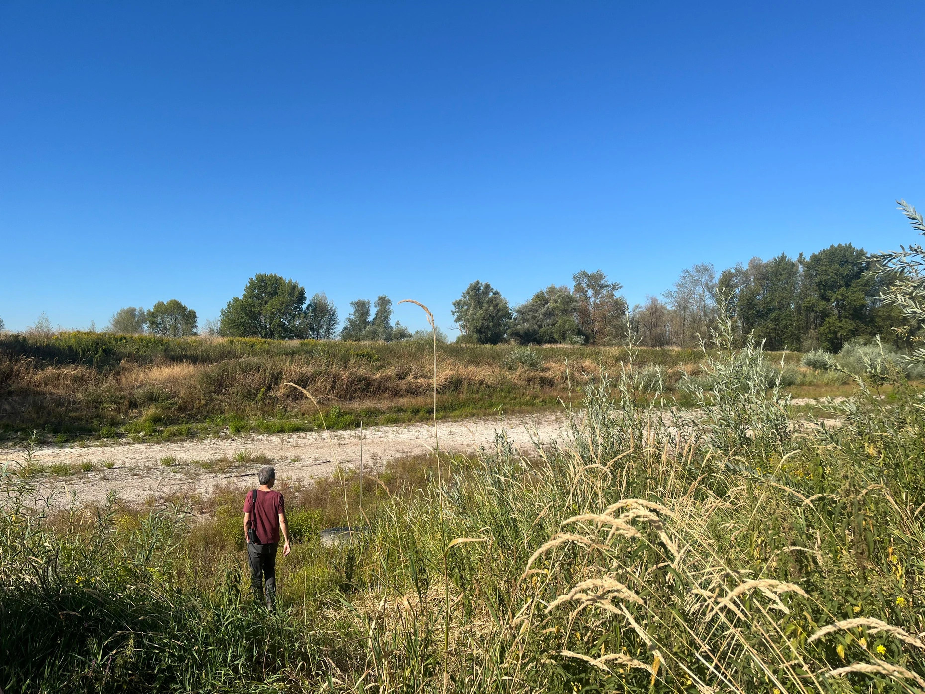 Klaus Markgraf-Maué auf dem Weg in die Flussnebenrinne im Naturschutzgebiet Emmericher Ward