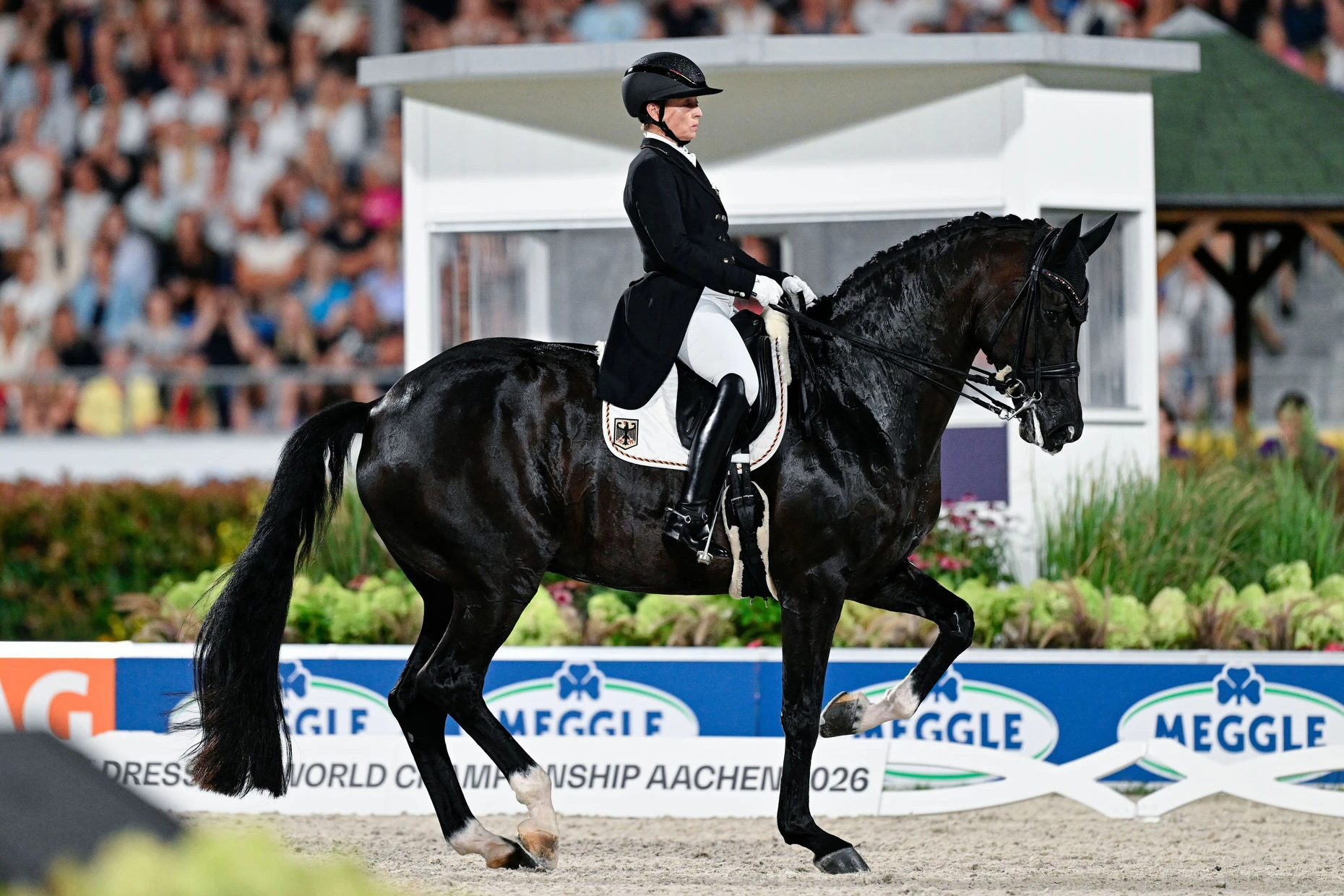 Zu Bronze piaffiert: Isabell Werth und Wendy
