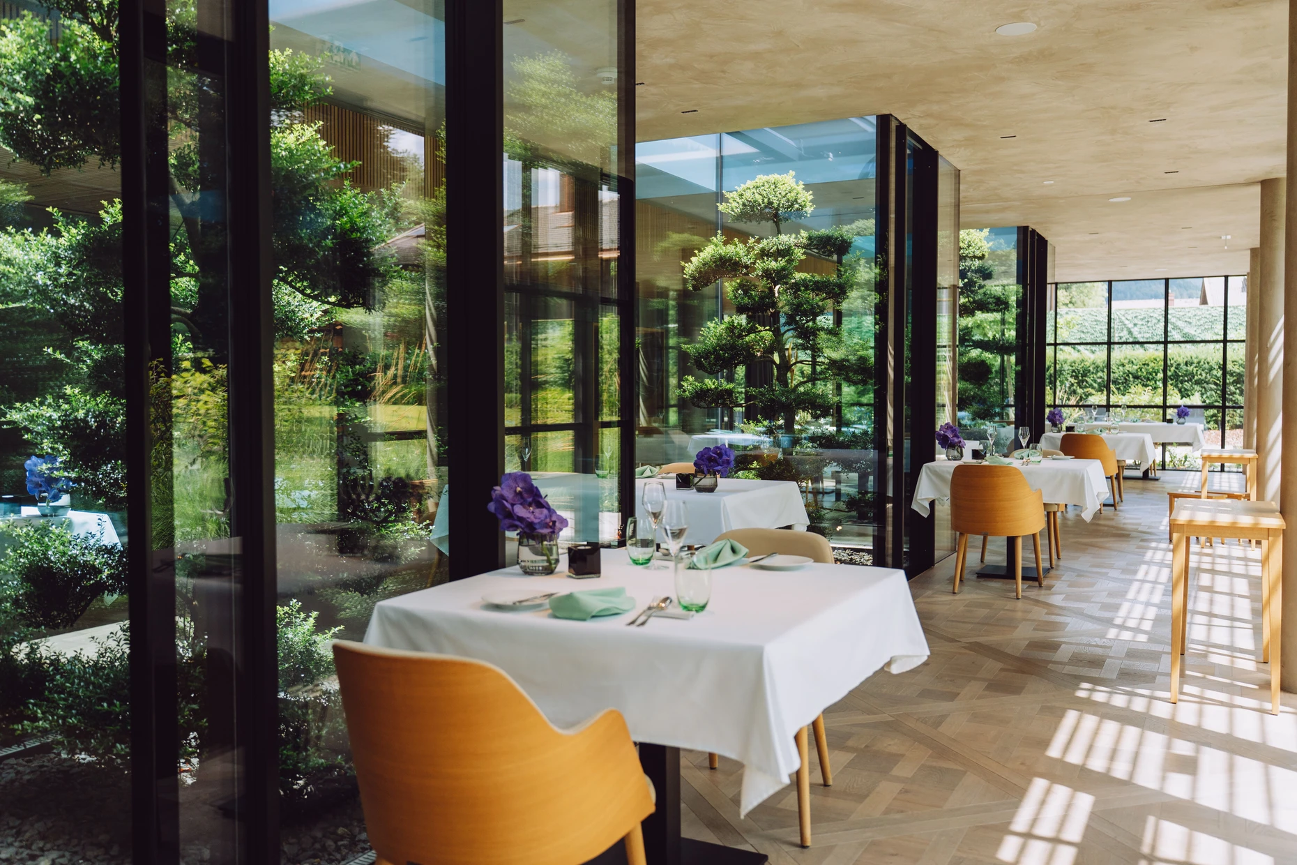 Refugium für echte Amseln: Japanische Stechpalmen in Vitrinen dominieren den Gastraum des Restaurants „Dichter“.