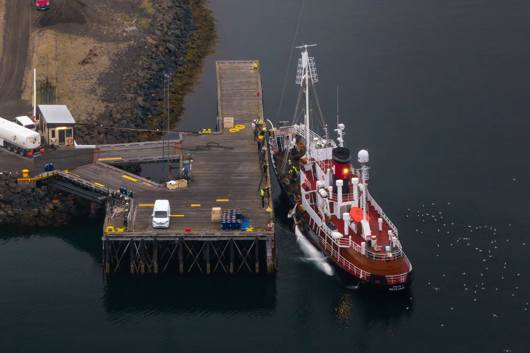 Drohnenaufnahmen von Schiff  „Hvalur 8“ des Walfangunternehmens Hvalur in Island.