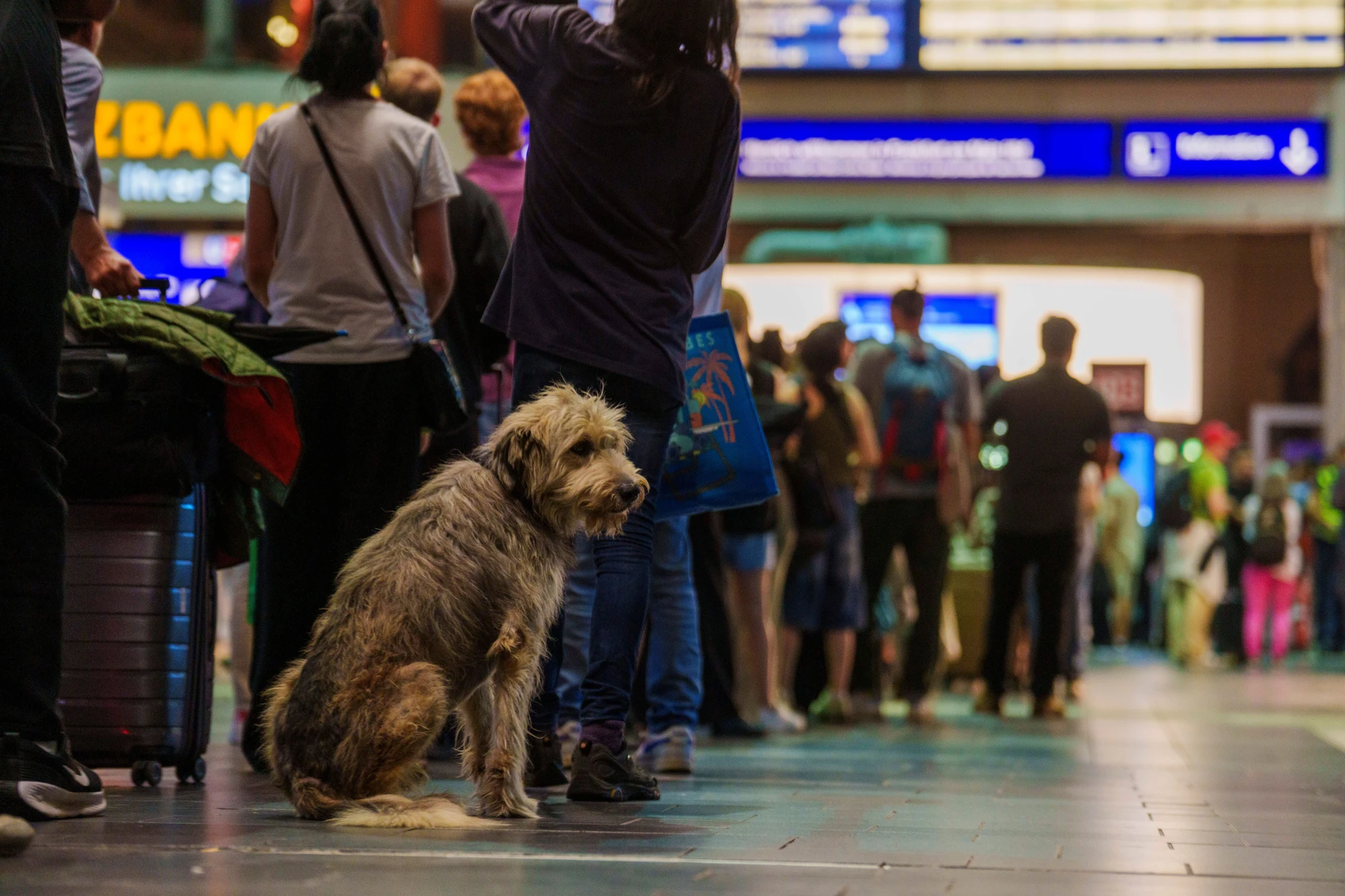 Am Serviceschalter der Bahn am Frankfurter Hauptbahnhof bildeten sich langen Schlangen.
