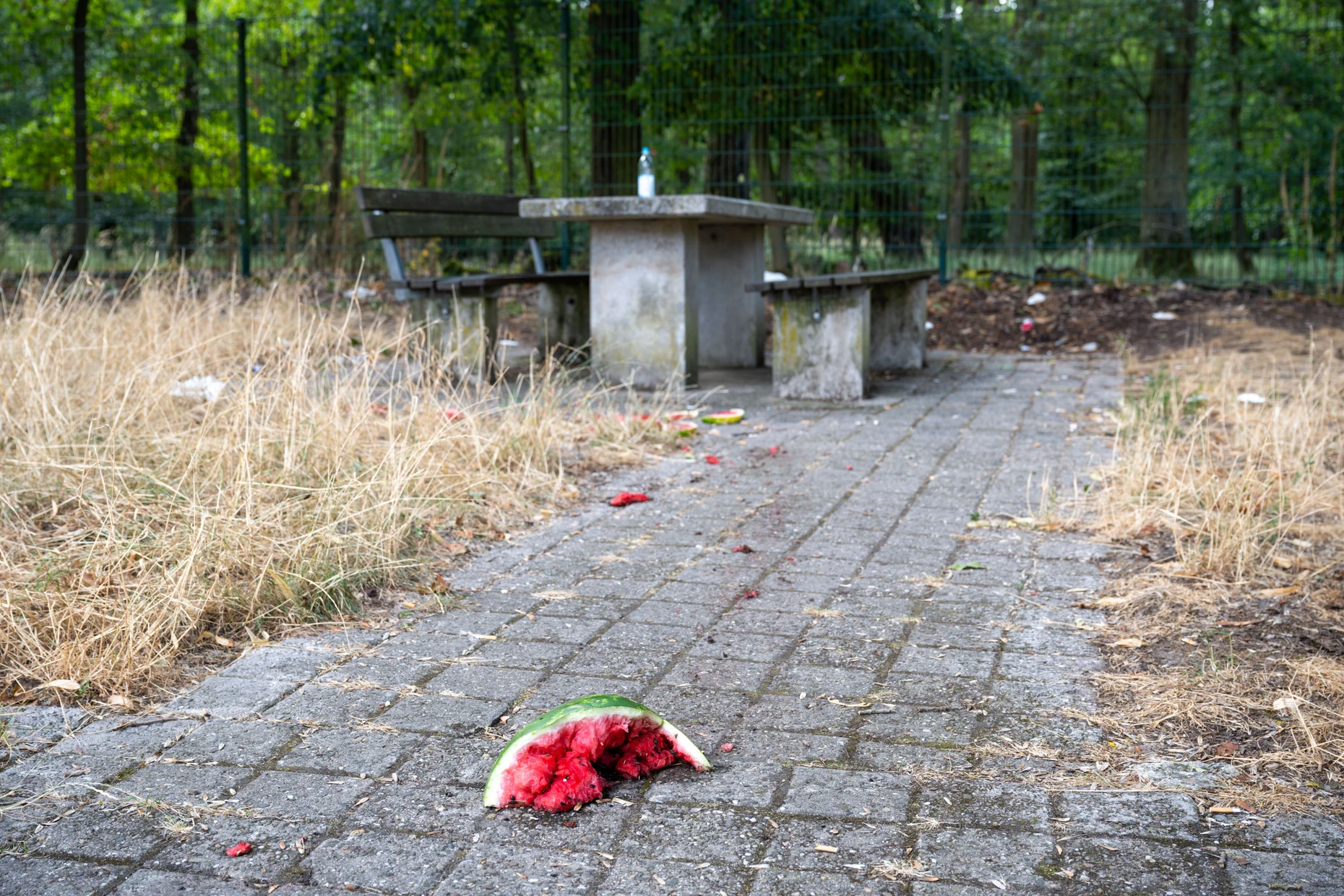 Müll und angebissene Wassermelone liegen vor einer Sitzgelegneheit auf der Rastanlage „Am Stadtwald“.