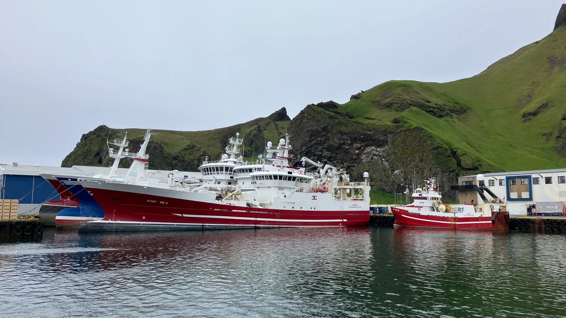 Fischertrawler im Hafen von Heimaey