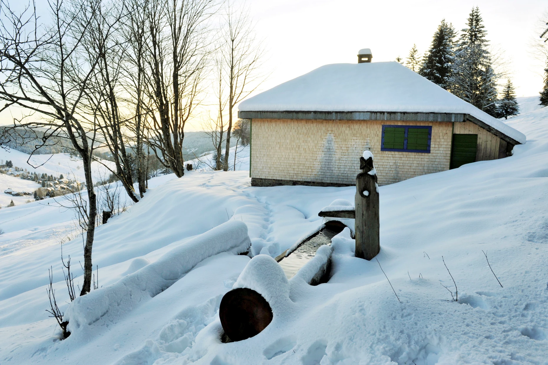 Die Hütte Martin Heideggers, oberhalb des Schwarzwälder Höhenkurortes Todtnauberg, 2013