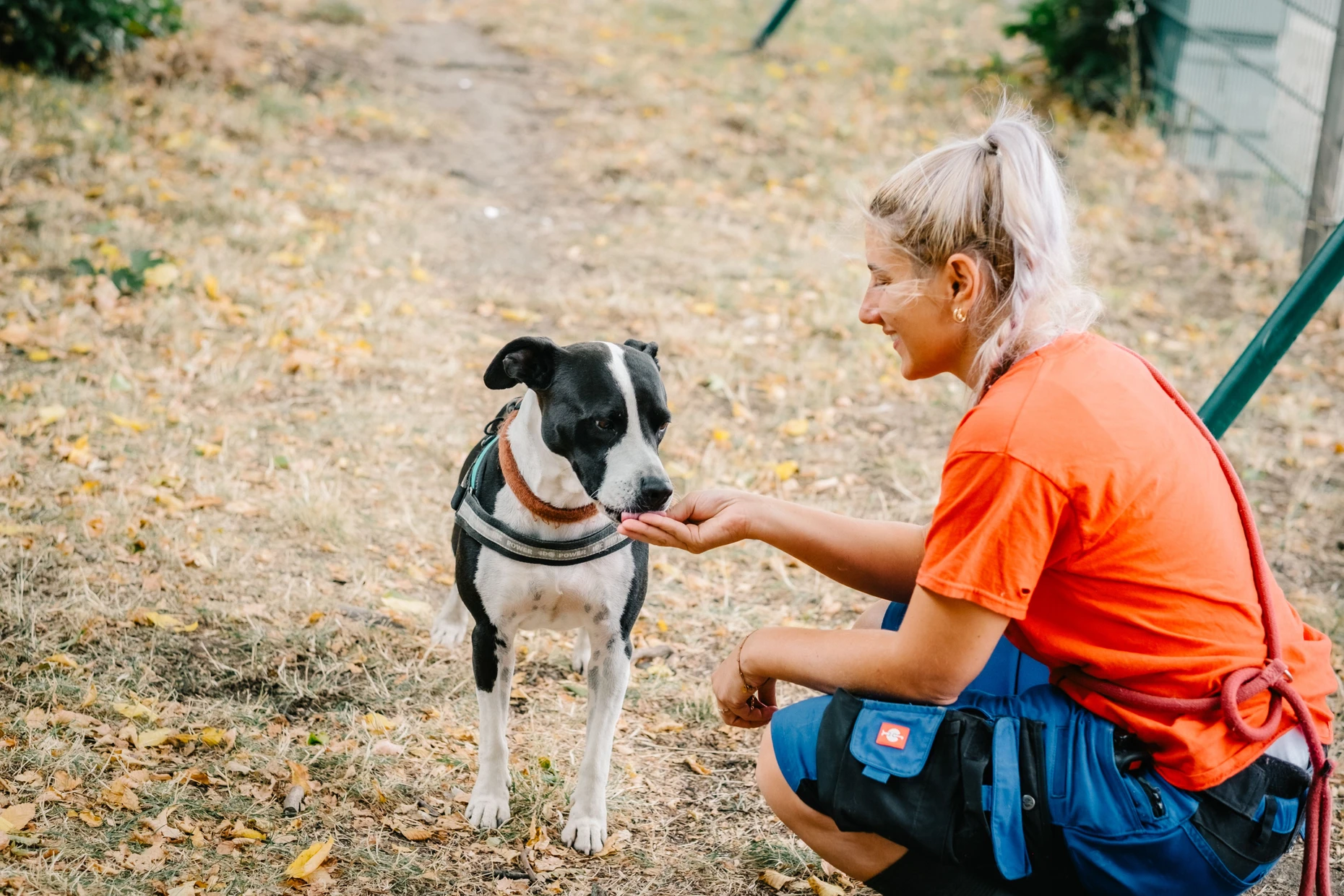Tierpflegerin Giuliana Oliveri gibt Pitbull Tilmann sein Lieblingsleckerli. Im Tierheim hat der früher verängstigte Hund Vertrauen gelernt.