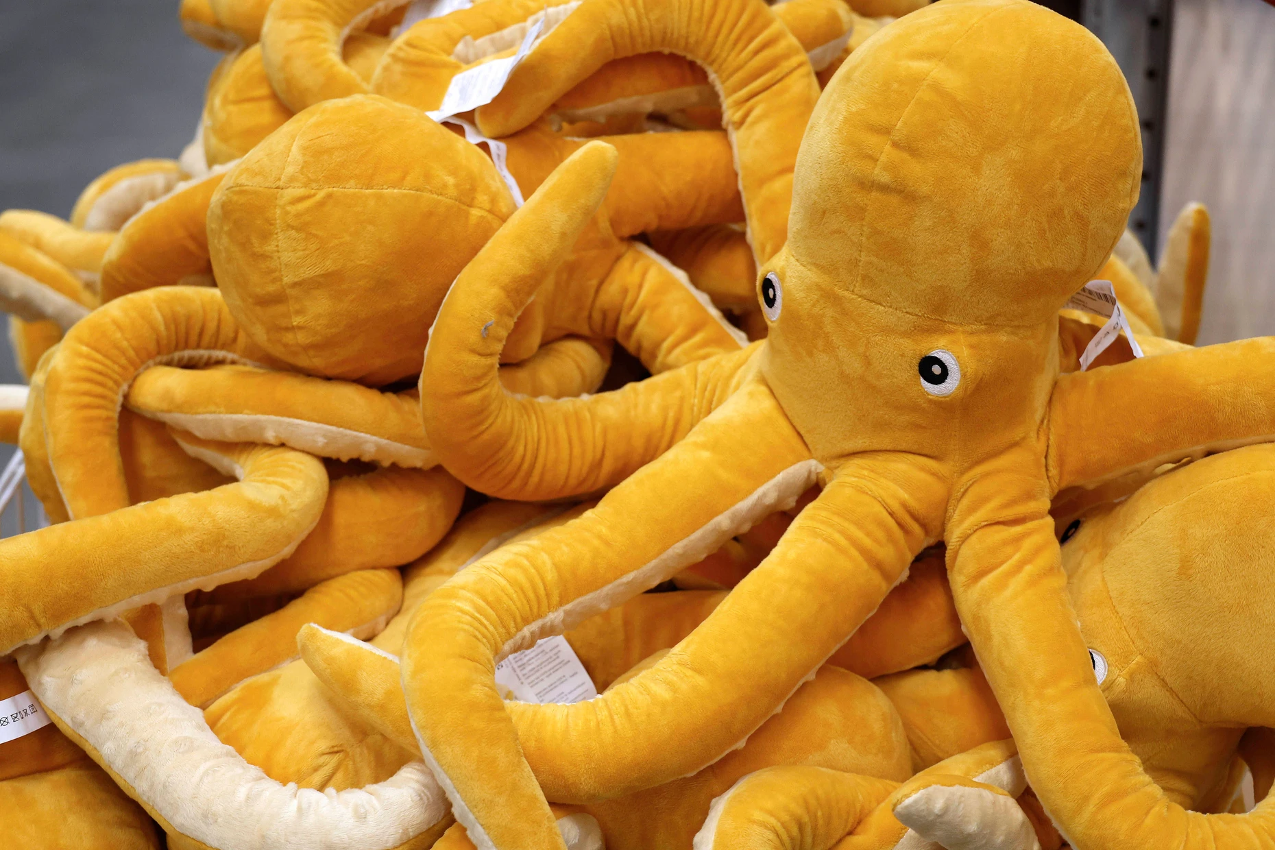 Kuscheln mit acht Armen: Stofftiere bei Ikea