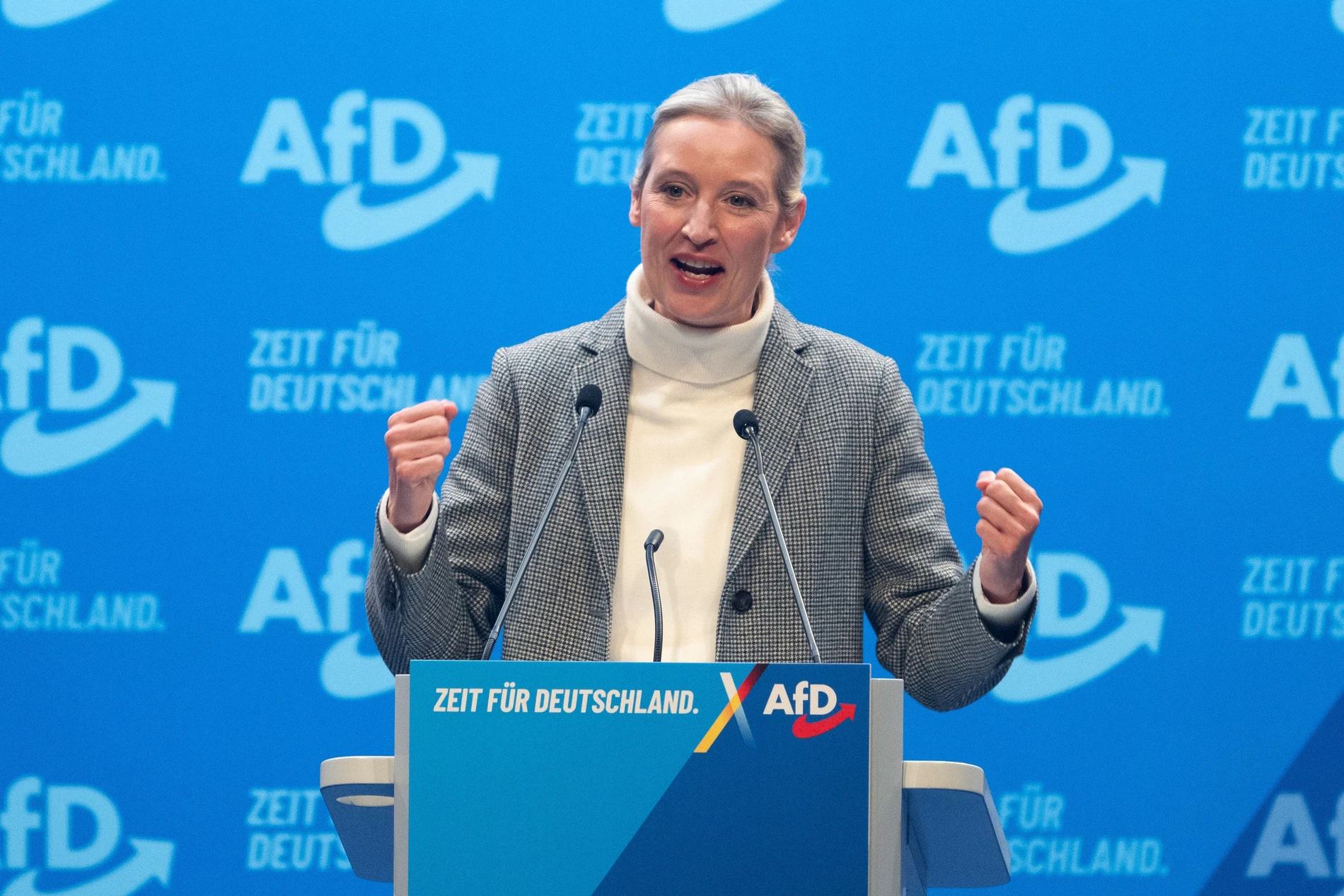 Kritik an Alice Weidels Aussagen über die Windkraft: „Einfach Wahnsinn“ |  FAZ