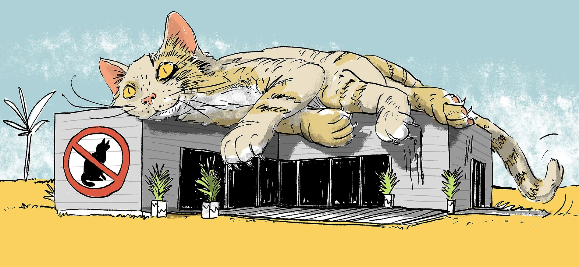 Tiere im Hotelzimmer: Reisereporter erzhlen von kuriosen Begegnungen | FAZ