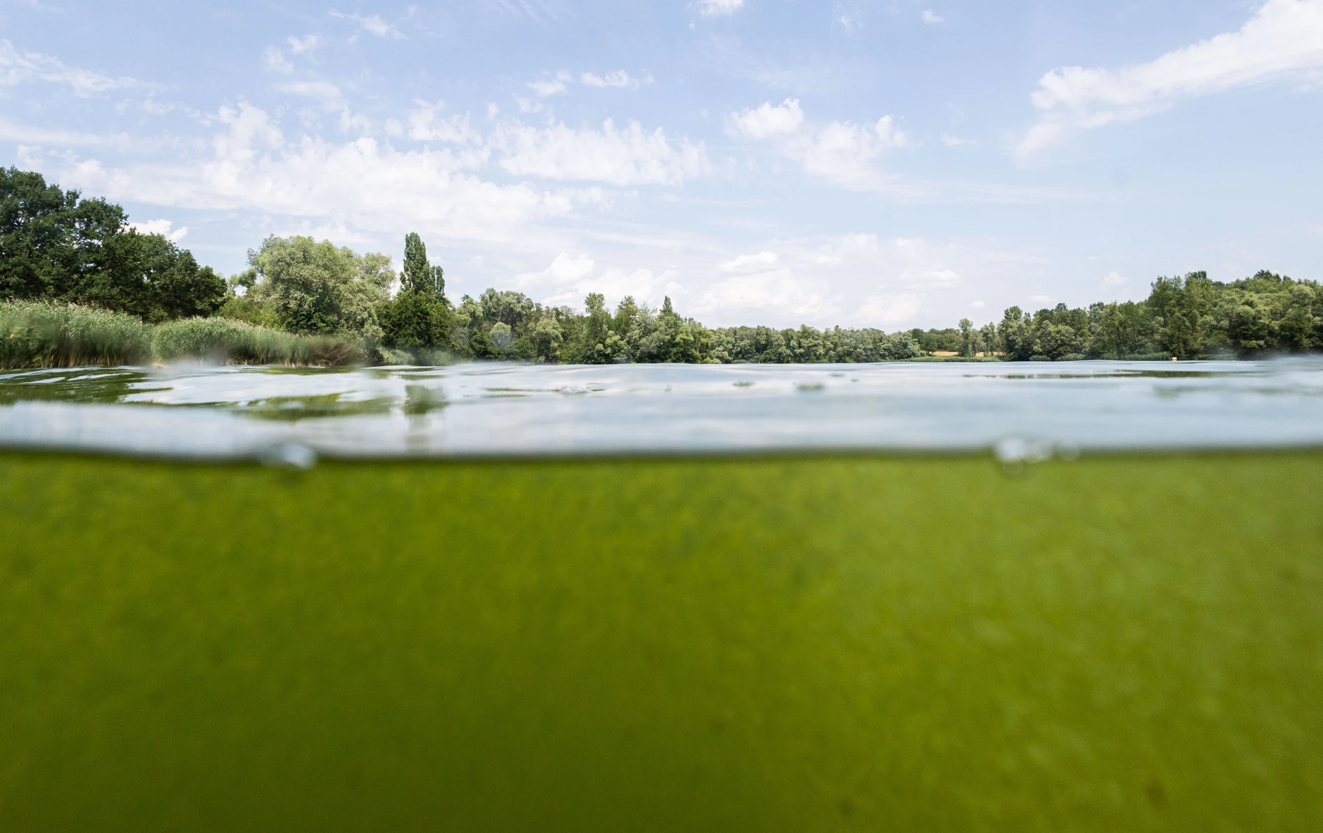 Hessische Badeseen: Schwimmen nicht empfohlen trotz bester Wasserqualität