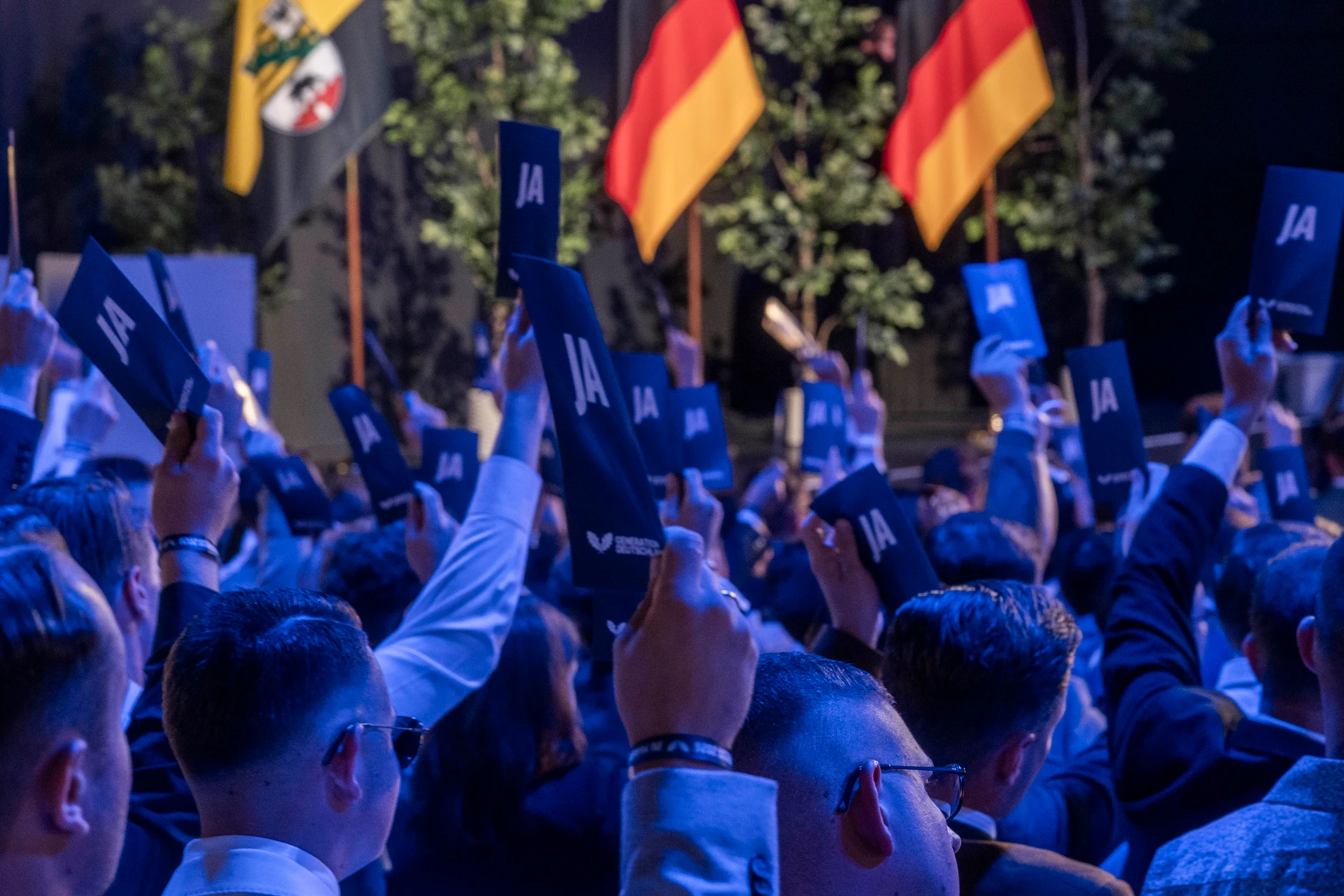 AfD-Jugend: Streit um Europa und den Euro