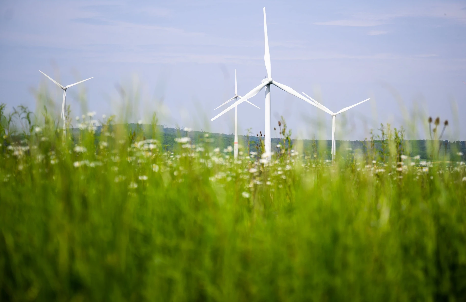 Warum der Windkraftausbau im Süden nicht vorankommt