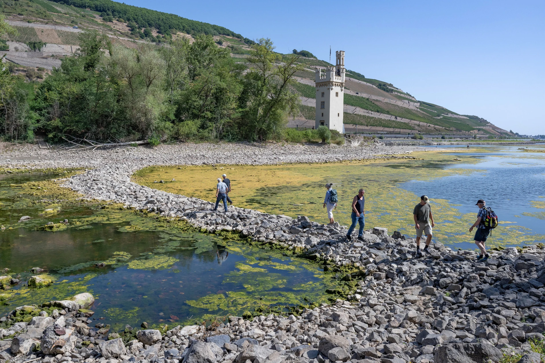 Niedrigwasser am Rhein: Länder fordern mehr Geld vom Bund