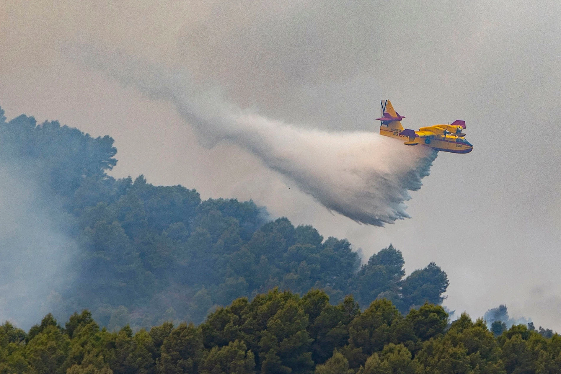 Waldbrand nahe Valencia außer Kontrolle