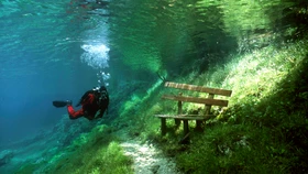 Wassermann (ohne Karpfen) im Grünen See. Tauchen ist hier mittlerweile verboten.