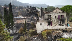 Zerstört: Im vergangenen Jahr haben Brände nahe der südfranzösischen Stadt Narbonne schwere Schäden verursacht.