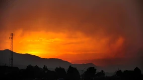 Buschbrände zerstören Hunderte Wohnhäuser
