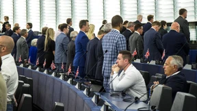 Brexit im EU-Parlament