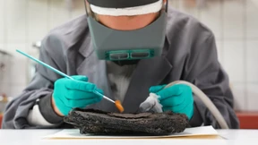 79 Jahre alte Nusstorte beschäftigt Lübecker Archäologen