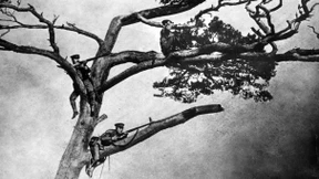 Der Fall von Tsingtao