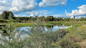 Wie wünschen sich die Frankfurter ihre Parks?