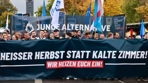 Mehrere tausend Menschen bei AfD-Demo in Berlin