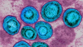 Paul-Ehrlich-Preis für Entdeckung von „Alarmanlage“ in Zellen