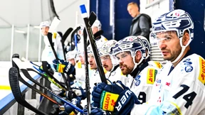 Eislöwen als Botschafter des Ostens