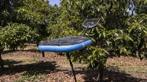 Apfelernte per Drohne?