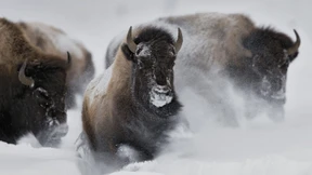 So machen Sie sich fit für das Börsenjahr 2025