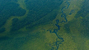 Wie Anleger echt grüne Rendite finden