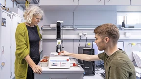 Forschung zur Rettung der Erdbeere