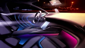 Mango im Nackenwärmer