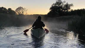 Einmal der Wildnis in die Augen schauen